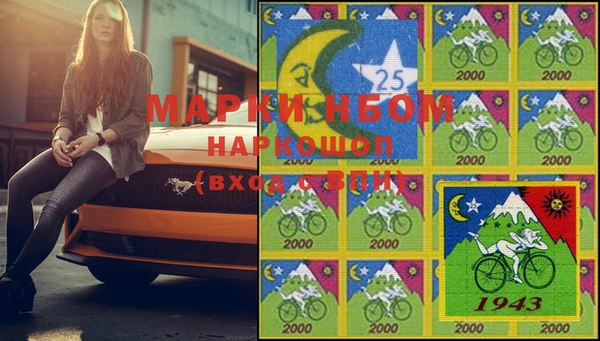 mix Богородицк