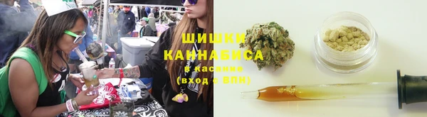 PSILOCYBIN Богданович