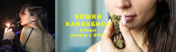 mix Богородицк
