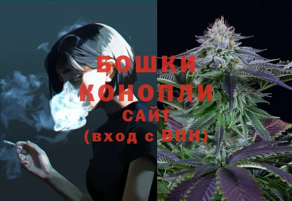 mix Богородицк
