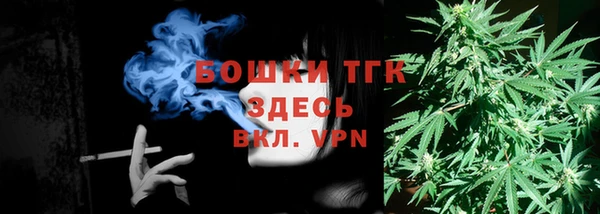 mix Богородицк