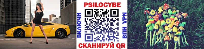 Псилоцибиновые грибы Psilocybe  купить наркотик  Афипский 
